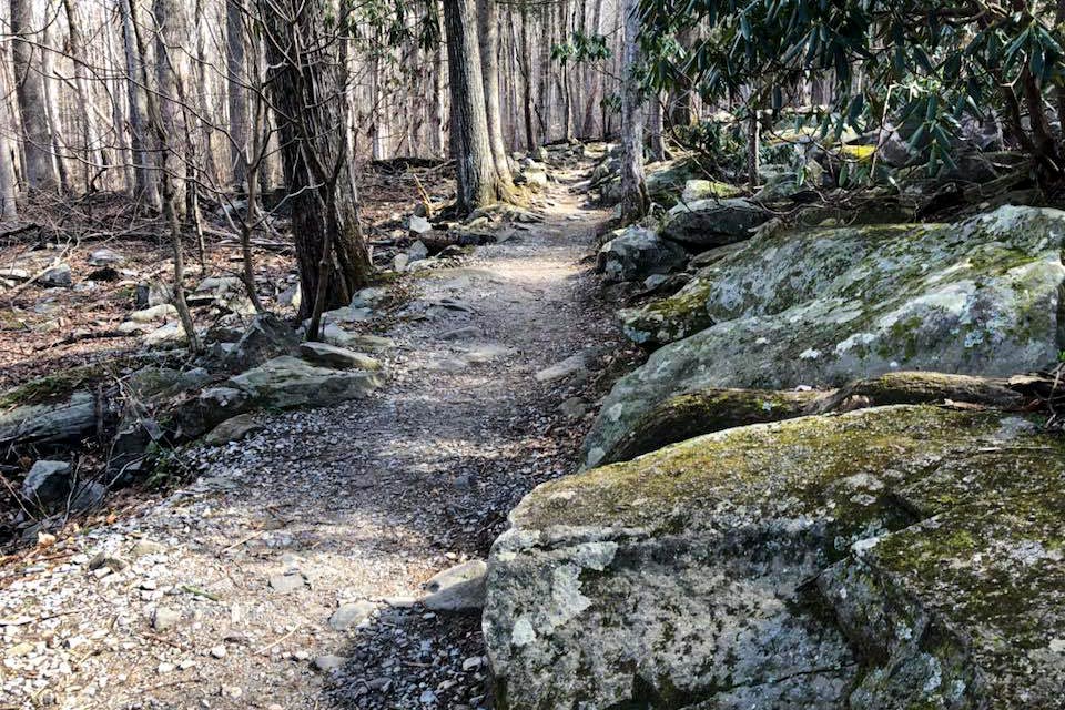 Hiking trail in the mountains