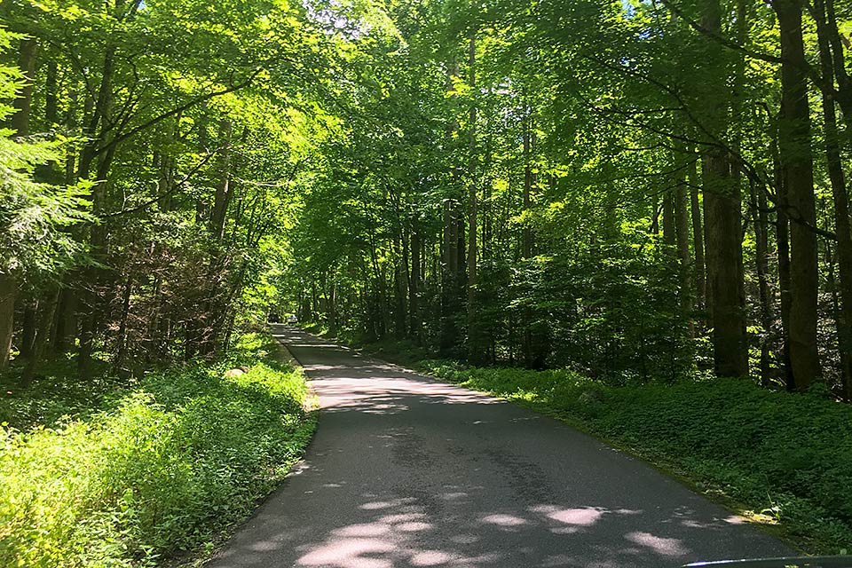 Motor Nature Trail