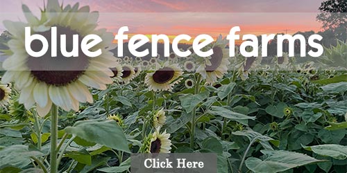 Blue Fence Farms